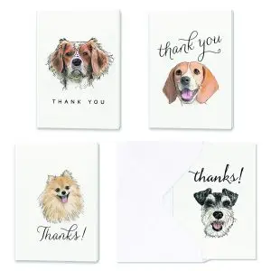Delightful Dogs Thank You Set